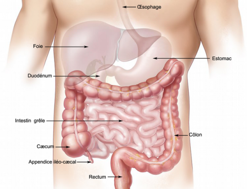 Ostéopathie et colopathie fonctionnelle