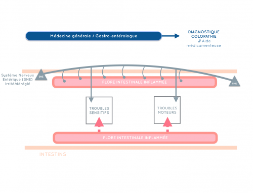 La colopathie, approche par les médecines intégratives